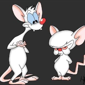 Meet your Posher, Aaron